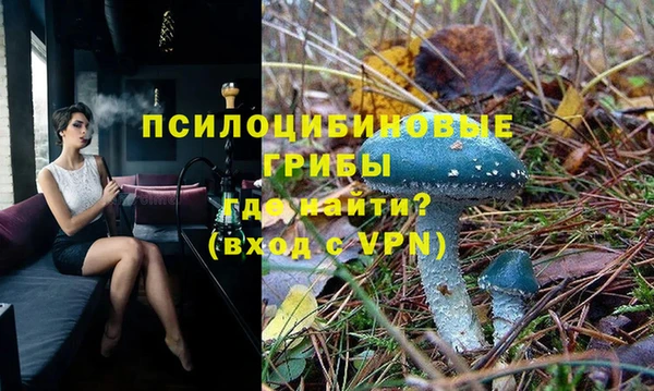 спиды Белоозёрский